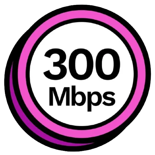 300Mbps